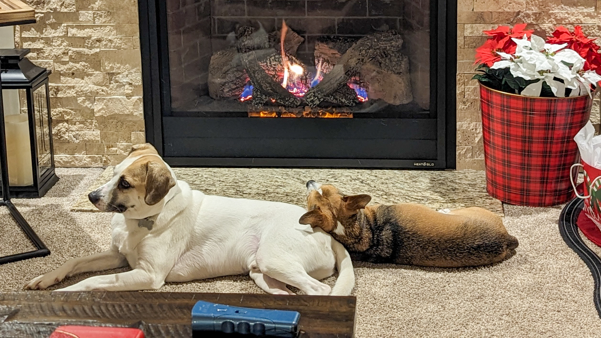 Basking in the Warmth