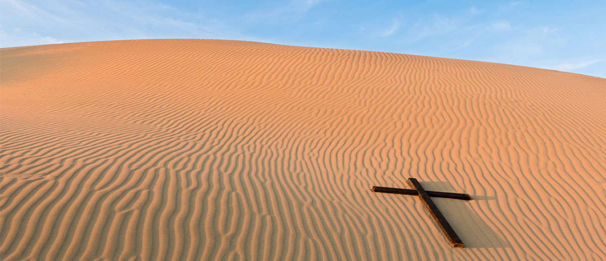 Which pattern? Adam or Jesus?